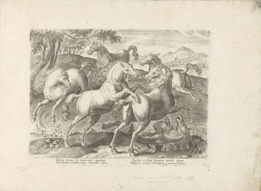 Fighting horses with a horse trampled underfoot