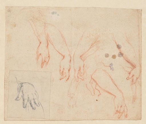 Study of arms and hands
