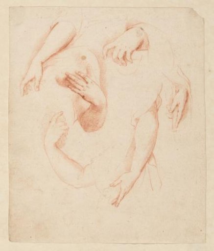 Study of arms and hands