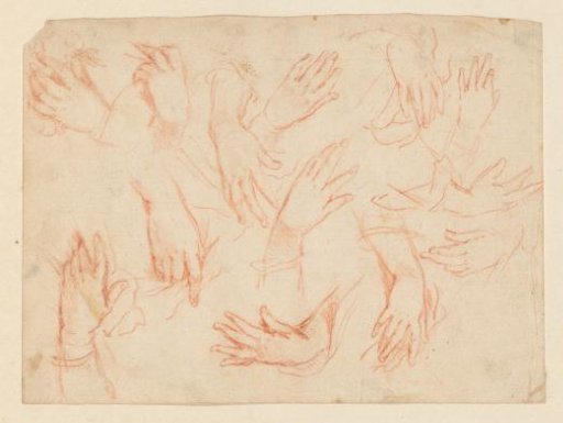 Study of a sleeve and arm with a twig in the hand