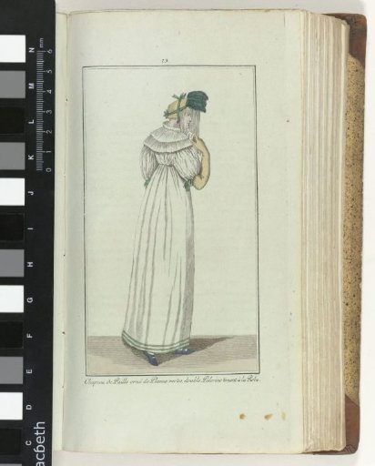 Elegance, or Journal of Fashion, Luxury and Taste for Ladies, June 1807, No. 13: Straw Hat...