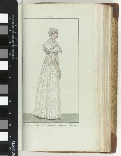 Elegance, or Journal of Fashion, Luxury and Taste for Ladies, September 1807, No. 22: Peasant Woman with Levantine Beard...