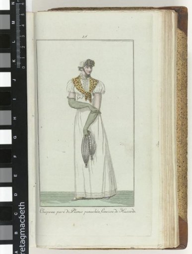 Elegance, or Journal of Fashion, Luxury and Taste for Ladies, October 1807, No. 25: Hat decorated with Panache Feathers...