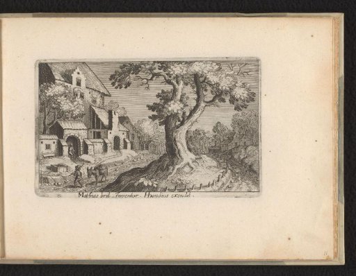 Village view with large tree in the center