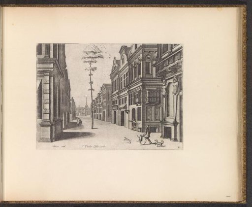 Street with a tree in the middle