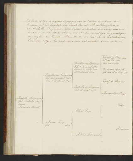 Genealogical Tree