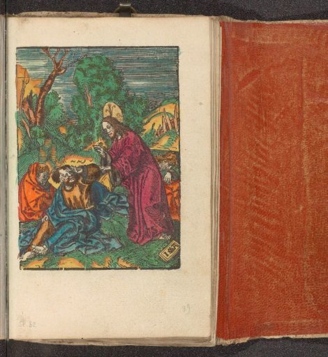 Christ Wakes the Sleeping Disciples