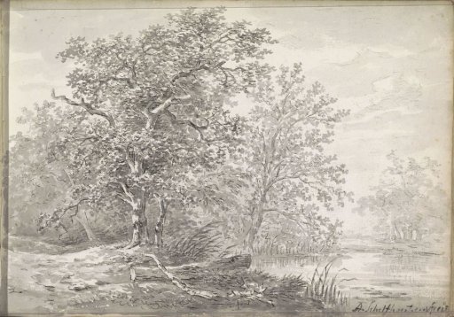 Trees by the water