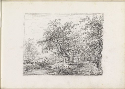 Forest path along a pond