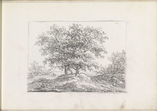 Landscape with trees
