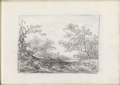 Landscape with trees and shrubs