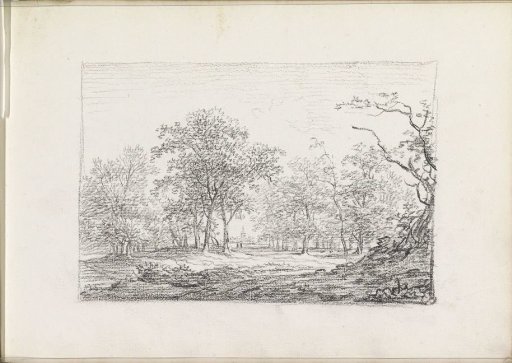 Clearing in a landscape with trees