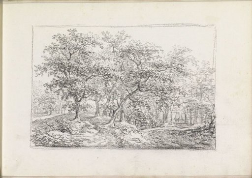 Two figures on a forest path