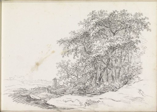 Group of trees enclosed by a fence