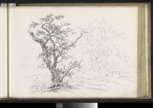 Landscape with Trees