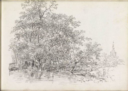 Trees by the Water