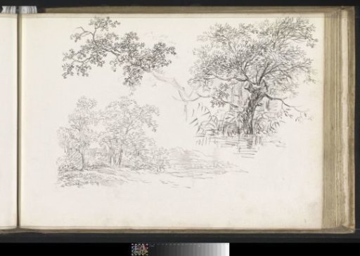 Landscape, Branch with Leaves and a Tree by the Water