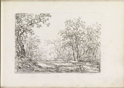 Landscape with trees