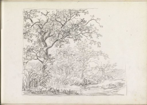 Landscape with trees and bushes by the water
