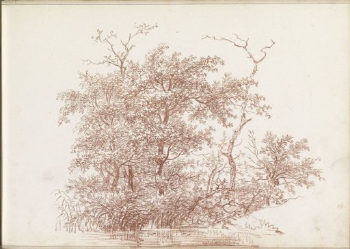 Trees and bushes by the water
