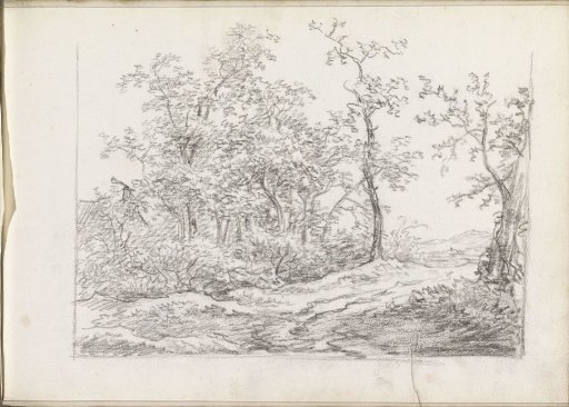 Hilly landscape with trees