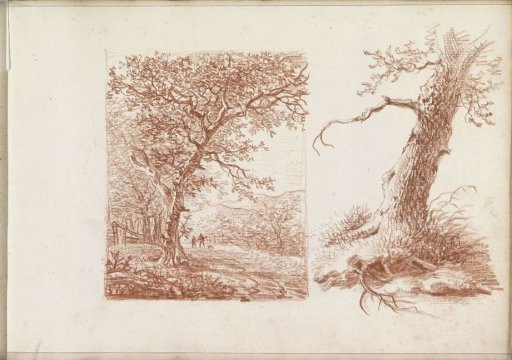 Tree trunk and a landscape with walkers and trees