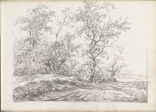 Landscape with trees and a fence