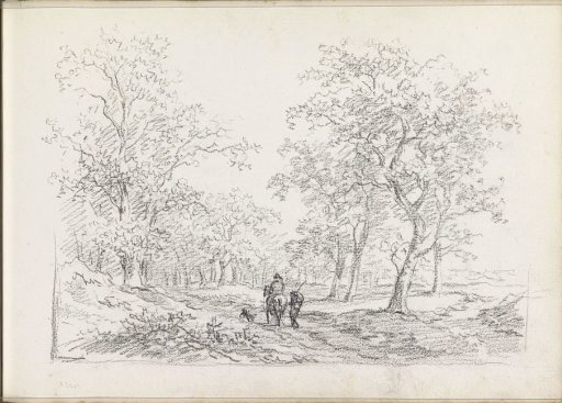 Rider and a pedestrian on a path