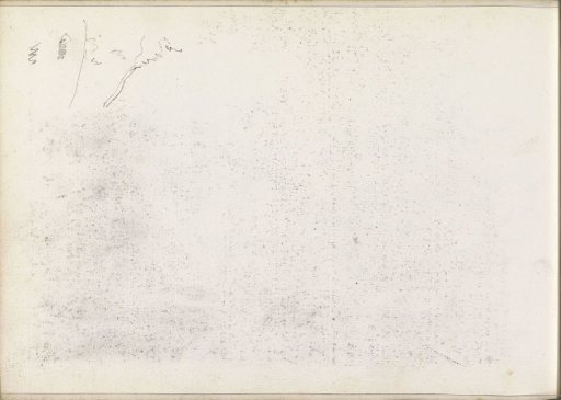 Studies, possibly branches with leaves