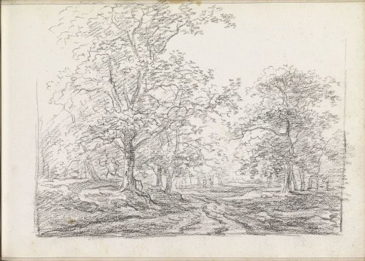 Landscape with trees