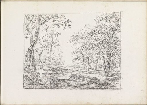 Landscape with trees