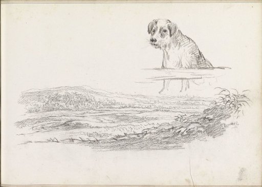 House in a hilly landscape and a dog