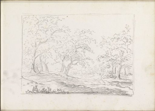 Landscape with trees