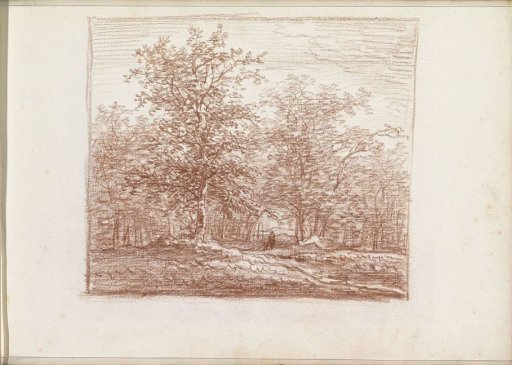 Man on a forest path
