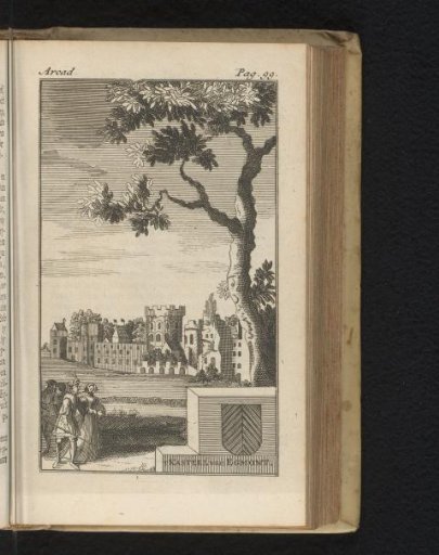 The Castle of Egmond in the Middle Ages