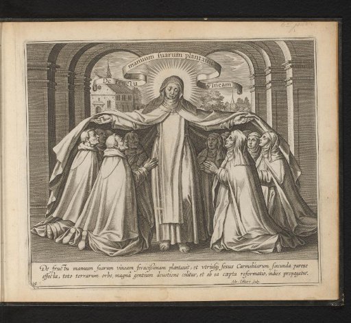 Theresa as Patron Saint