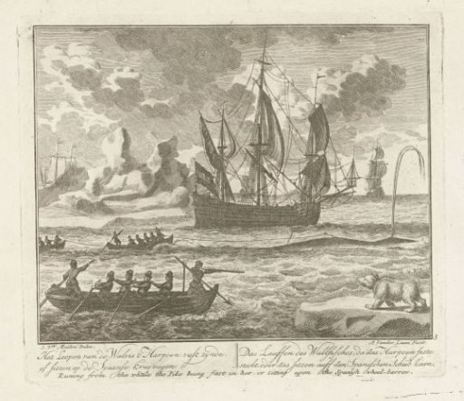The Harpooned Whale Swimming, ca. 1725