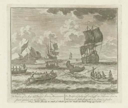 Harpooned Whale with Tail Above the Water, ca. 1725
