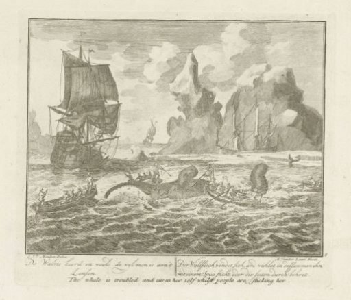 The Harpooned Whale Turns and Thrashes While Being Stabbed, ca. 1725