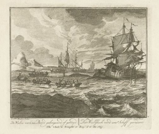 The Whale Brought Alongside the Ship, ca. 1725