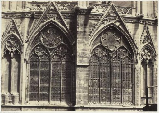 Windows of Notre Dame, Paris