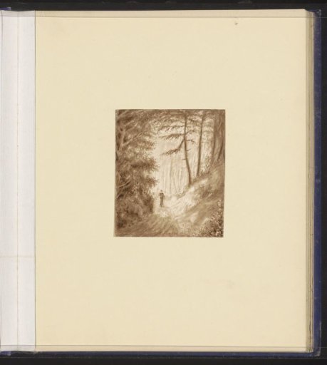 Wanderer on a Forest Path