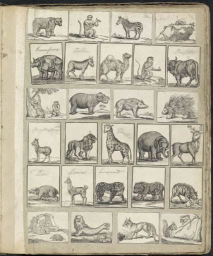 Album leaf with various representations