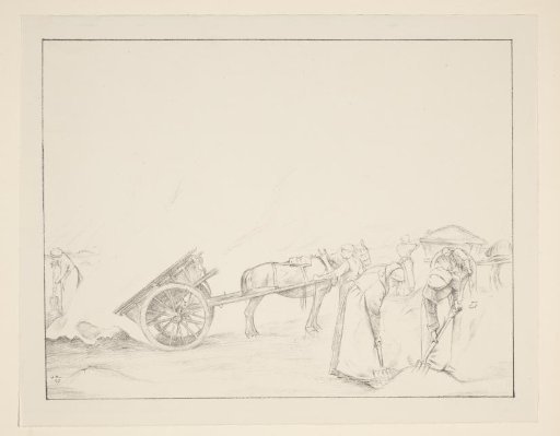 Burning of the seedlings