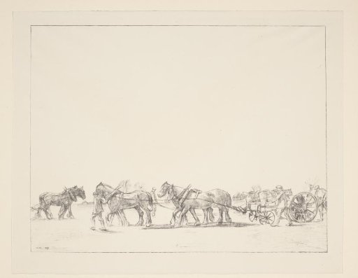Sowing with the help of draft horses