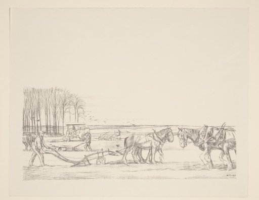 Ploughing the land