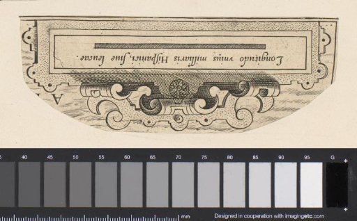 Elongated cartouche with scrollwork
