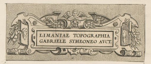 Elongated cartouche with bunches of fruit and a putto