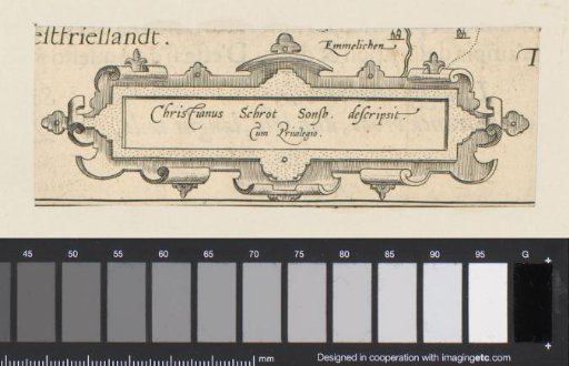 Long cartouche with scrollwork