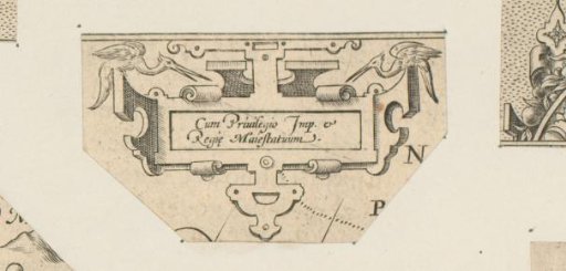 Small cartouche with two birds